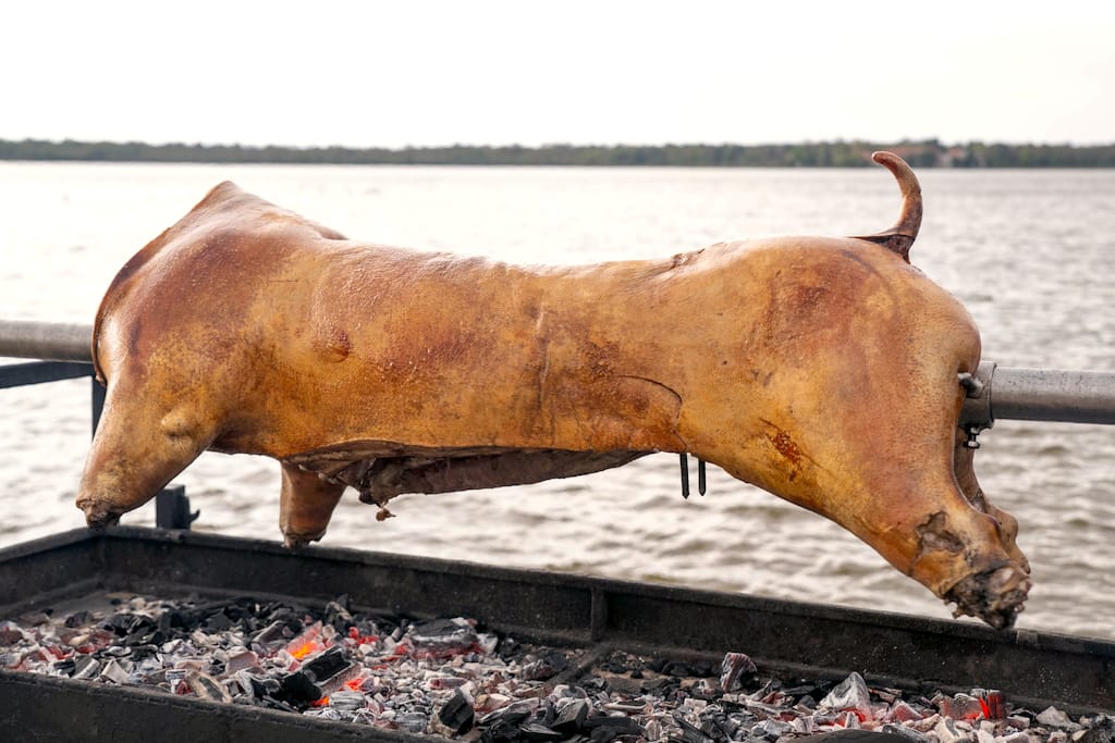Porc la proțap, pe malul lacului
