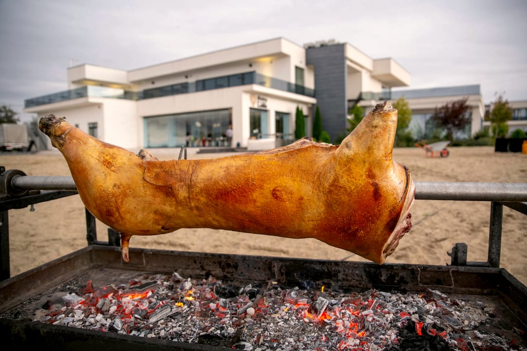Porc la proțap
